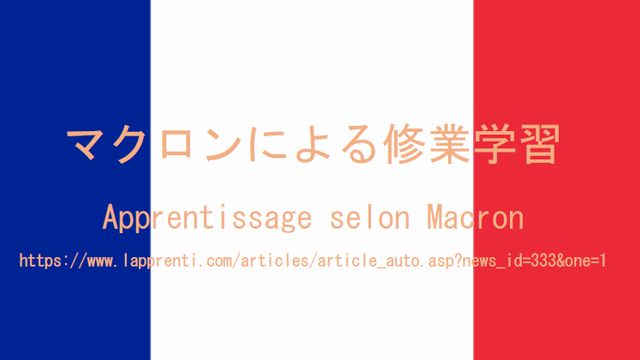 マクロンによる修業学習のページ表紙
